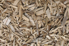 biomass boilers Shortroods